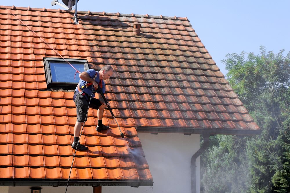 Le meilleur démoussage à Saint-Jacques-de-Thouars (79100)